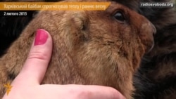 Харківський бабак спрогнозував теплу і ранню весну