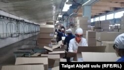 Иллюстрациялык сүрөт. 