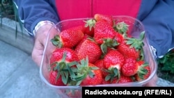 Полуниця, придбана на ринку в окупованому Сімферополі