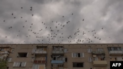 В ISW вважають, що війська РФ можуть використати свій розширений плацдарм на північний схід від Лимана для захоплення решти Луганської області, що залишалася під контролем України