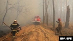 Пожежа в Чорнобильській зоні, 10 квітня 2020 року