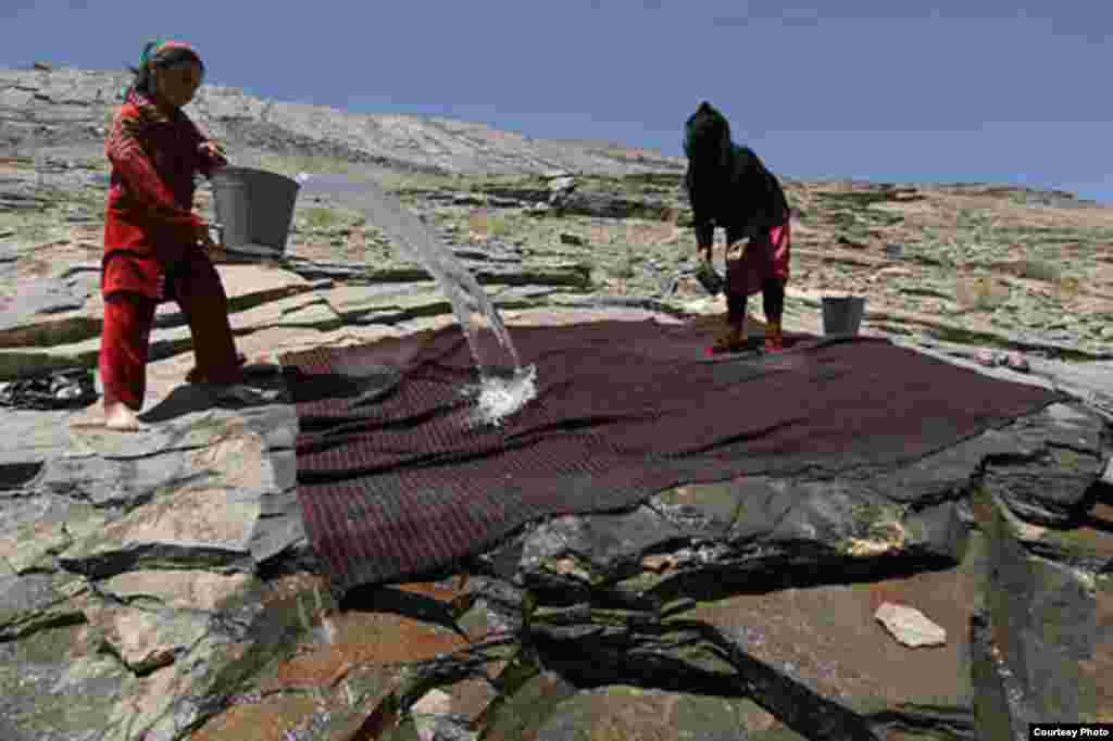 Акс аз Нозим Қаландаров