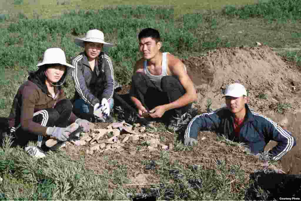 Кочкор-Башы: "Төрт-Күл" шаар чалдыбарын казууга катышкан студенттер. - Нарын облусунун Кочкор өрөөнүндөгү Кум-Дөбө айылындагы байыркы Кочкор-Башы шаарынын ордунда ("Төрт-Күл" чалдыбарында) археологиялык казуу иштерине катышкан КУУнун студенттери. Археолог Ороз Солтобаев "Азаттыкка" берген сүрөт. 01.7.2011. 