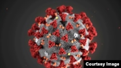 Coronavirus