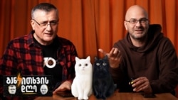 ჯიმი და ნიკო განიკითხავენ