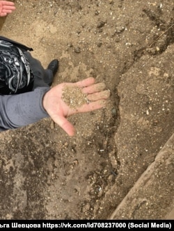 Пісок після очищення його бактеріями від фракцій мазуту, зібраних на кримському узбережжі