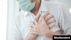 Иллюстрациялык сүрөт.