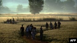 Migranti u poljima Idomenija na granici Grčke sa Makedonijom