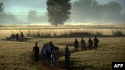 
Migrantët kalojnë kufirin nga Greqia për në Maqedoni në afërsi të fshatit grek, Idomeni. Gusht, 2016.