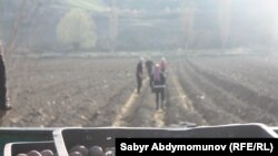 Иллюстративное фото.