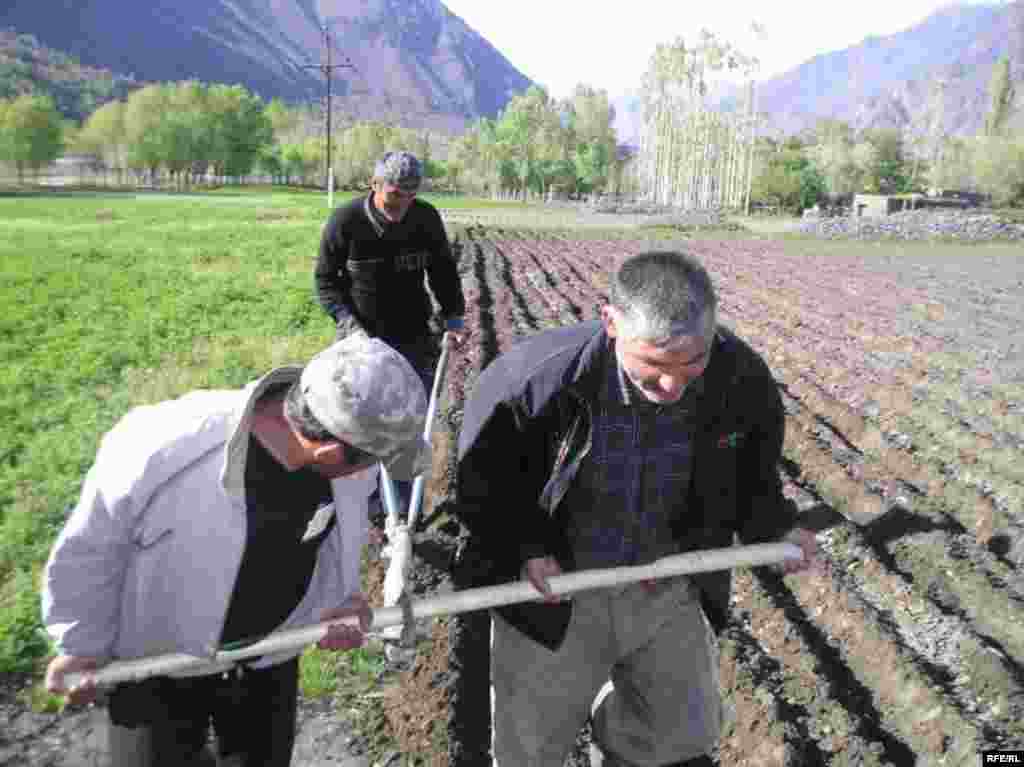 Вақте барзагов нест... #13