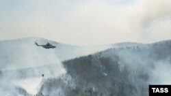 Причиной пожаров этого года явились небывалая для этих мест жара, засуха и поджоги лесов