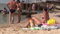 Морський відпочинок із мертвою рибою на курорті угруповання «ДНР»