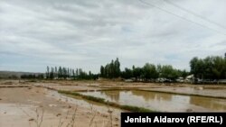 Иллюстративное фото.