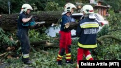 Autóra borult fákat távolítanak el a vihar után Nyíregyházán, a Sóstói úton 2021. augusztus 1-jén