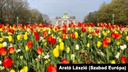  A diadalív ezerszer megörökített látószögből