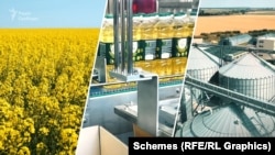 Виробництво олії. Ілюстративний колаж