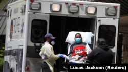 Штати Аризона, Техас, Флорида і Північна Кароліна повідомили про зростання кількості хворих