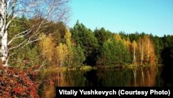 Полісся. Овруцький район Житомирщини