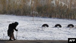 Иллюстративное фото.