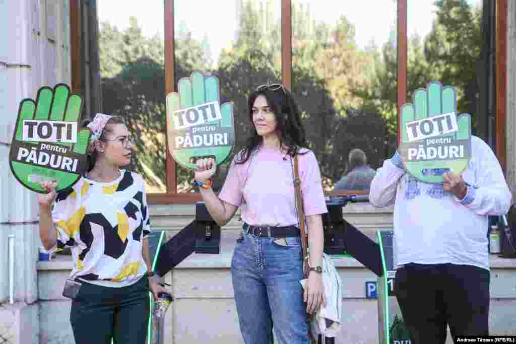 Tăieri ilegale sunt prezente și în&nbsp;Parcul Național Semenic și în Parcul Național Munții Rodnei, potrivit Corpului de control al Ministerului Mediului.