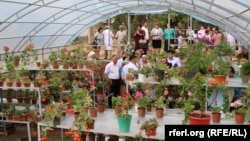 Жалал-Абаддагы күнөскана