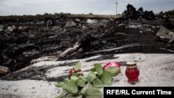 Фото з місця катастрофи рейсу MH17