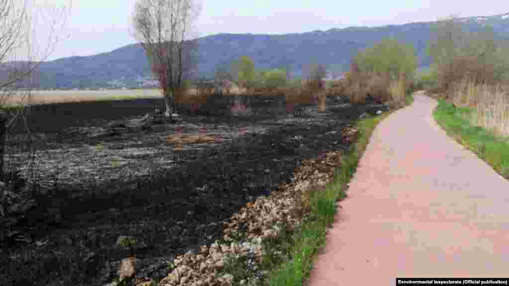 Ndërkohë, disa njerëz dyshojnë se ky zjarr i madh që shpërtheu në fund të prillit ishte ndezur qëllimshëm, për t&#39;i hapur rrugë një projekti të ri ilegal ndërtimor në bregun maqedonas.