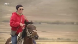 Как программист Замира занялась животноводством