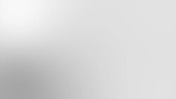 Гроші на кордоні. Елітні авто, нерухомість і коштовності родин закарпатських митників