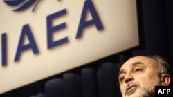 Ali Akbar Salehi, šef iranske nuklearne agencije