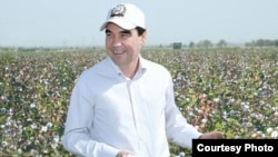 Президент Туркменистана Гурбангулы Бердымухамедов  