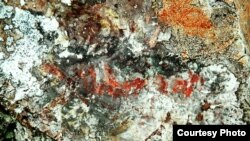 Фото предоставлено пресс-службой ПетрГУ