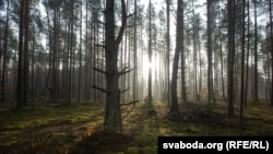 По их данным, планов по проведению компенсационных посадок российских властей не существует и не обсуждалось