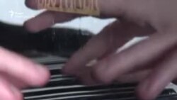 მაიას ბგერების სამყარო