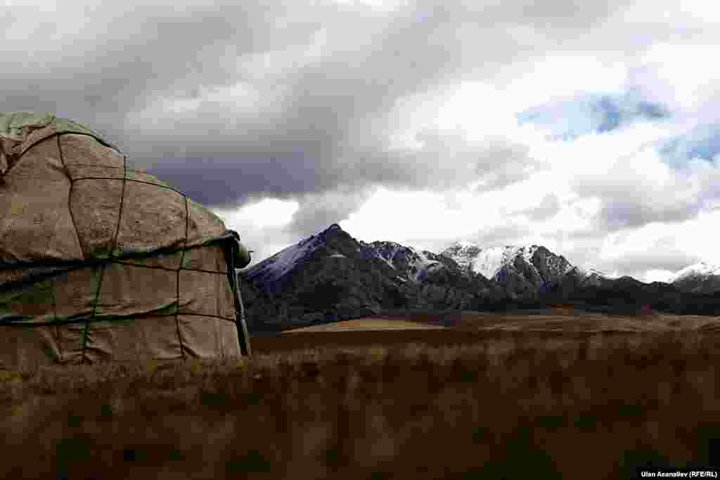 Төрт түлүк кармабаган тоолуктар турист кармашат.