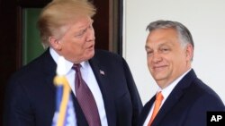 За повідомленням агентств Bloomberg і Reuters, Трамп зателефонував Орбану після переговорів у Білому домі, які відбулися 18 серпня, зокрема, щоб спитати, чому він блокує переговори України про вступ до Європейського Союзу (фото архівне)