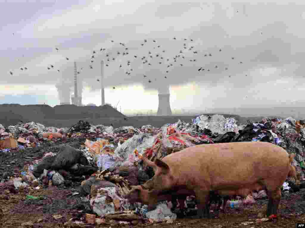 Депонија во близина на Битола