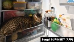 Українців просять перенести користування електроприладами на ранкові, денні або нічні години доби