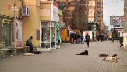 Виживання на окупованих територіях