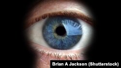 "Odjednom je porasla potražnja za romanom Džordža Orvela '1984', napisanog 1949. godine u kojem raskrinkava propagandu i totalitarno mišljenje."