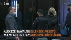 Alekszej Navalnij a bíróságon