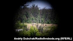 Вигляд на передові позиції бойовиків з бліндажа українських військових під Мар’їнкою, Донецька область, червень 2018 року