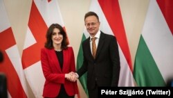 Мака Бочоришвили и Петер Сийярто