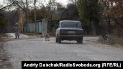 Наразі у селі проживає 526 людей. До війни, кажуть, було більше від тисячі