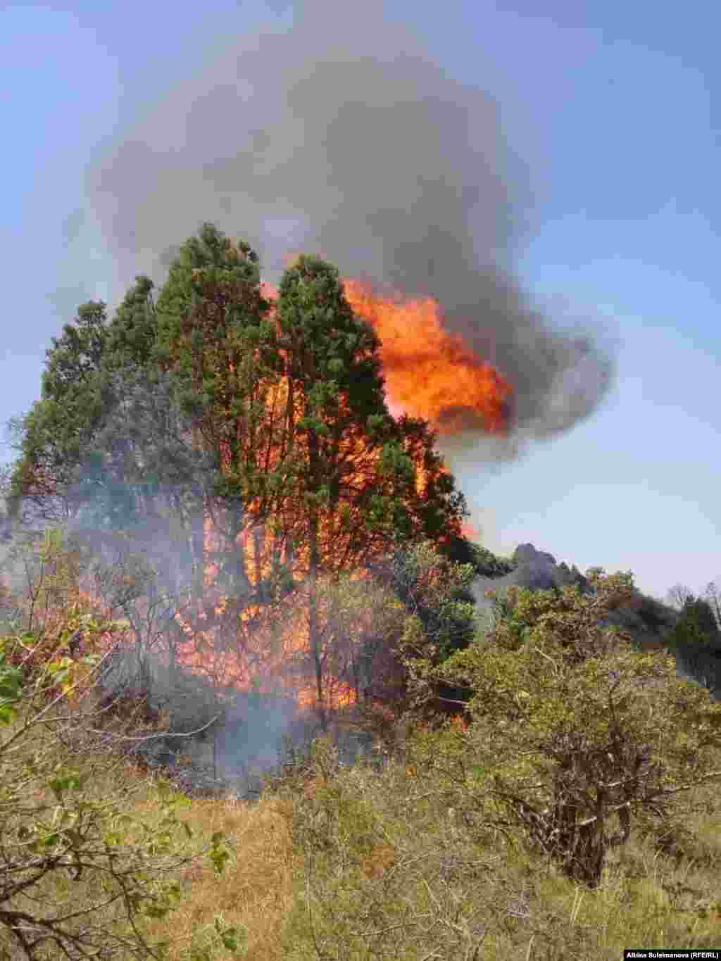 С 1 августа в Манасском районе введен режим чрезвычайной ситуации.