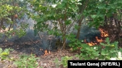 Zjarret në komunën e Suharekës më 3 gusht 2021. 