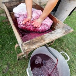 виготовлення домашнього вина