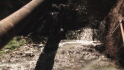 კურდღელაურის არხი