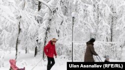 Иллюстрациялык сүрөт.